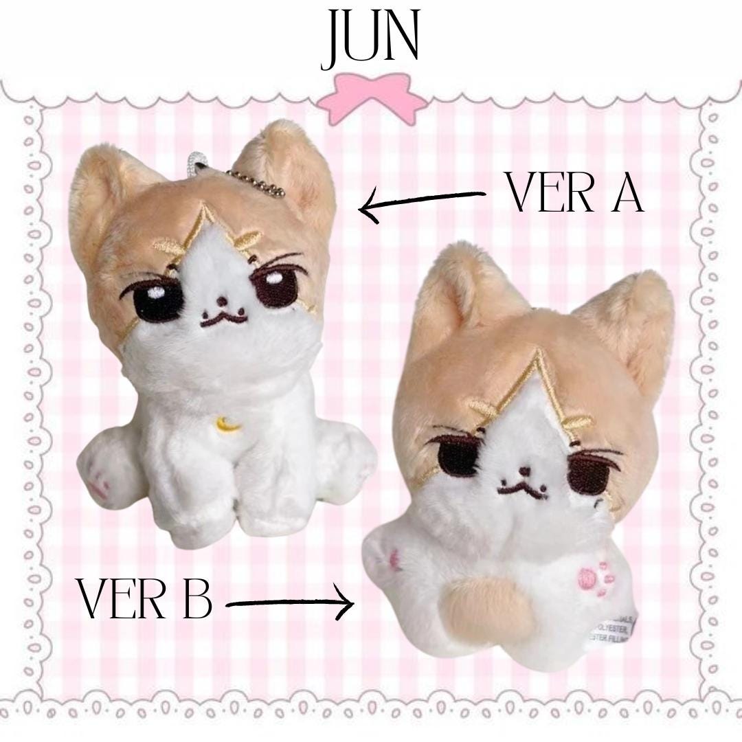 Buy 3 Take 1 for Free SVT Pre-order Fanmade 10 Cm Dolls