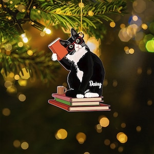 Cat And Books Acrylic Christmas Ornament, Book Christmas Tree Ornament, Book Lover Christmas Ornament, Reading Book Ornaments, Librarian