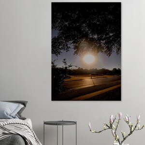Fine Art Poster "Urban Serenity: Ein Sonnenuntergang umrahmt von kleinen Bäumen"