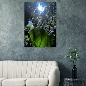 Fine Art Poster.Jade Gelassenheit in der Natur