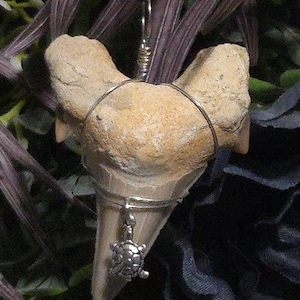 Wire wrapped fossilized shark tooth with charm necklace