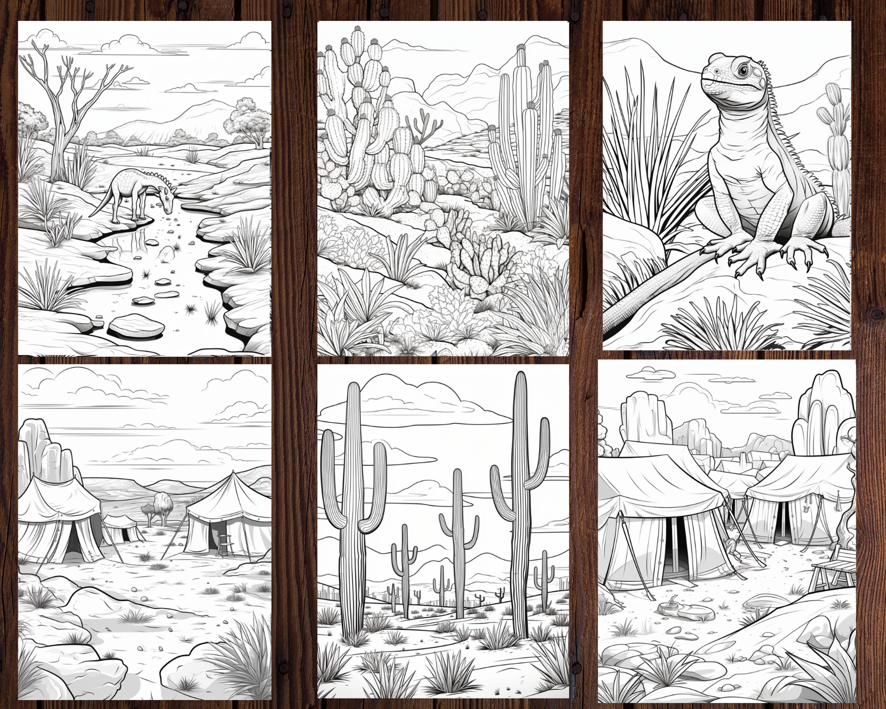 26 DESERT LANDSCAPE Coloring Page for ADULT Instant Download - Etsy