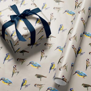 Bird Gift Wrapping Paper Roll Illustrated Wrapping Paper Gift for Nature Lovers Hunter Gift Wrapping Paper Bird Illustration Wrapping Paper