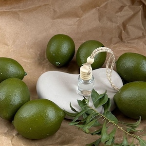 Puede incluir: Una pequeña botella de vidrio con una tapa de madera cuelga de una cuerda con una cuenta de madera. La botella está sobre una piedra gris en forma de corazón con limones verdes a su alrededor. Una ramita de hojas verdes está en el fondo.