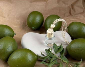 Ambientador de coche inspirado en Zen Retreat Boho: difusión artística de aromas no tóxicos para una conducción consciente, terapia de aroma de coche ecológica y calmante