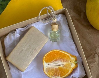 Difusor para coche Citrus Bliss: ambientador para coche refrescante y duradero con aroma cítrico natural vigorizante