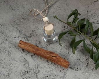 Difusor de coche con aroma de aventura para niños: potenciador de fragancia enérgico y deportivo para conductores jóvenesAmbientador de coche dinámico para jóvenes, aroma deportivo atrevido