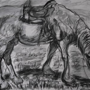Il cavallo in Oltrepò - Grande dipinto a carboncino su carta - Ritratto di animale
