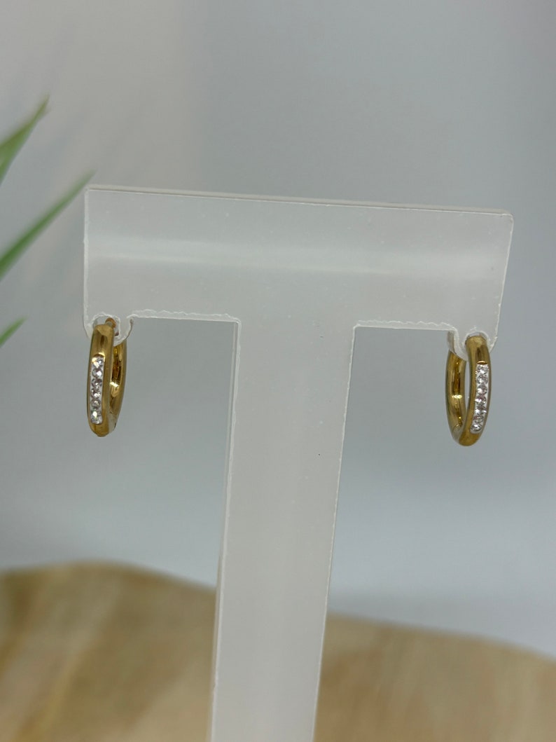Stainless steel earrings 9 : anneau