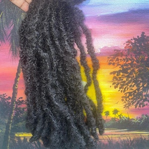 May include: A bundle of black dreadlocks hair extensions. The hair is long and thick, with a natural texture. The hair is shown against a painted background of a sunset over a tropical landscape.