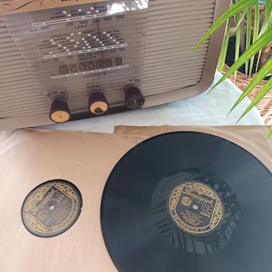 May include: Two black vinyl records with gold labels. The labels have the text "Brunswick" and "BRUNSWICK" on them. The records are on a brown paper surface.
