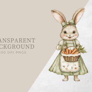 Pu&ograve; includere: Un'illustrazione ad acquerello di un coniglio bianco che indossa un vestito verde e un grembiule bianco, tenendo un cesto di carote. Il coniglio ha orecchie lunghe e un naso rosa. Lo sfondo &egrave; di colore marrone chiaro.