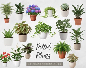 Potted Plants Clipart, Indoor and Outdoor Greenery | Botanical Plant Graphics
