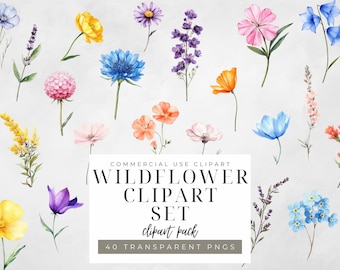 May include: A collection of watercolor wildflower clip art in various colors, including blue, yellow, pink, and purple. The set includes a variety of flower types, such as daisies, poppies, and lavender. The text on the image reads "WILDFLOWER CLIPART SET clipart pack 40 TRANSPARENT PNGS."