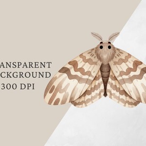 Op de afbeelding: Waterverfillustratie van een mot met bruin en beige gevlekte vleugels. De afbeelding bevat de tekst "TRANSPARENT BACKGROUND 300 DPI". De mot is gecentreerd op een lichtbeige achtergrond.