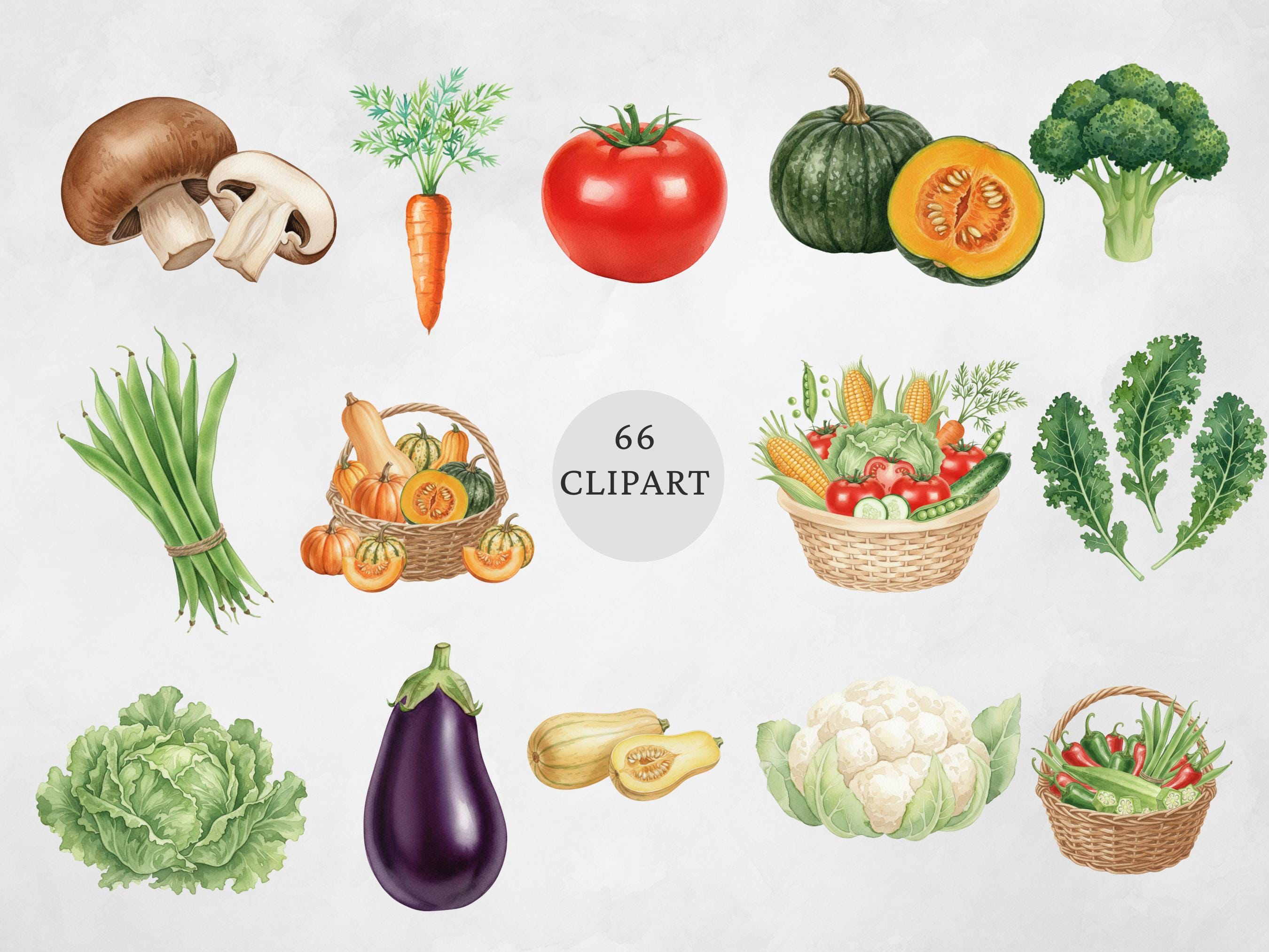 Watercolor Vegetables Clipart Set, Fresh Farm Veggie PNG Illustrations ...