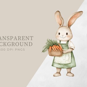 Pu&ograve; includere: Un'illustrazione ad acquerello di un coniglio marrone che indossa un grembiule verde e tiene un cesto di carote. Il coniglio ha orecchie lunghe e un viso bianco con guance rosa. Lo sfondo &egrave; di colore marrone chiaro.