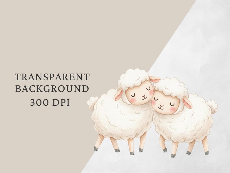 K&ouml;nnte beinhalten: Aquarellillustration von zwei flauschigen wei&szlig;en Schafen, die sich umarmen. Sie haben geschlossene Augen und rosige Wangen. Das Bild hat einen transparenten Hintergrund und 300 DPI. Der Text lautet "TRANSPARENT BACKGROUND 300 DPI."