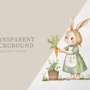Pu&ograve; includere: Un'illustrazione ad acquerello di un coniglio marrone che indossa un vestito verde e un grembiule bianco, tenendo una carota. Il coniglio &egrave; in piedi davanti a un vaso con una pianta di carota.