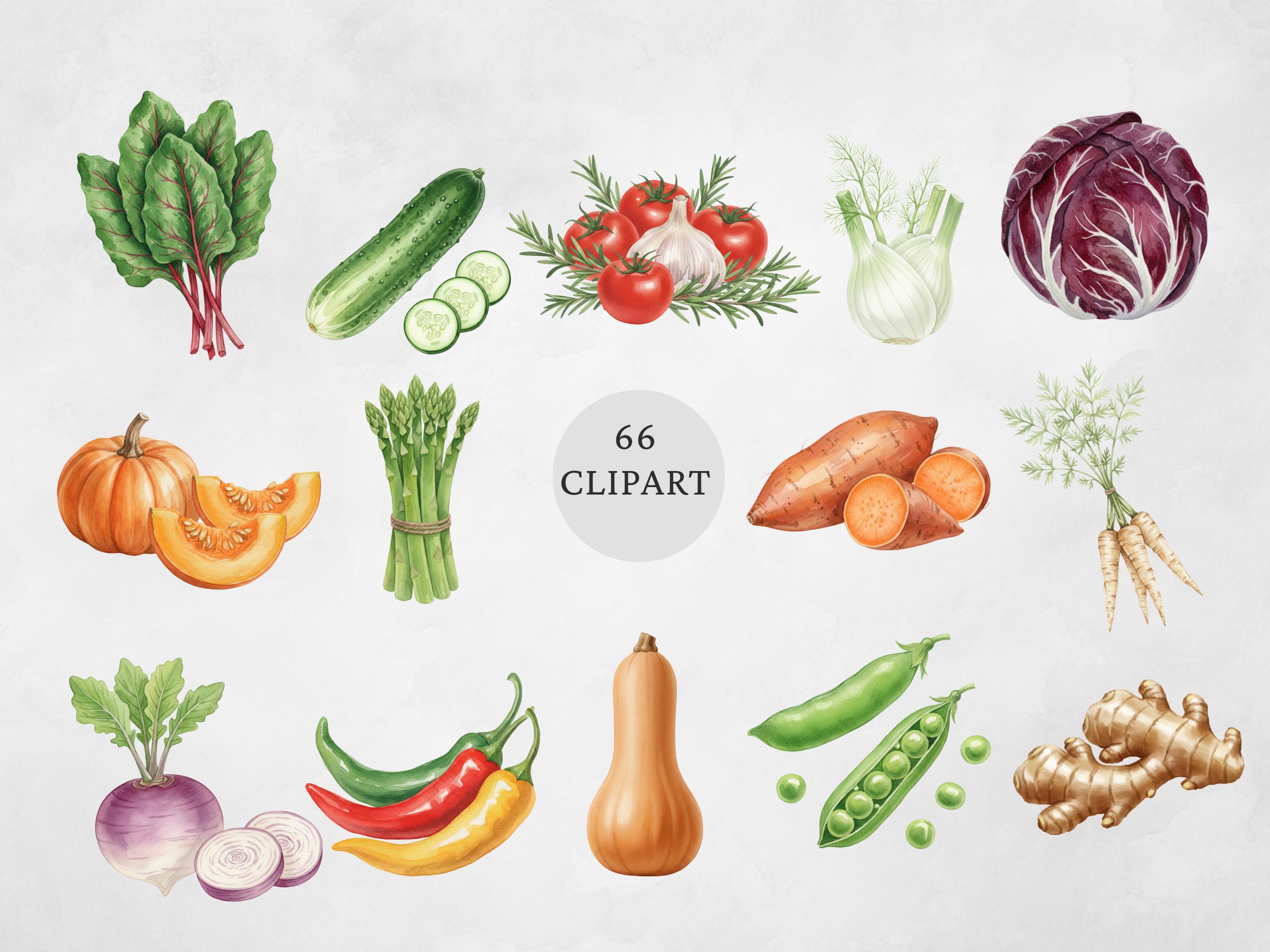 Watercolor Vegetables Clipart Set, Fresh Farm Veggie PNG Illustrations ...