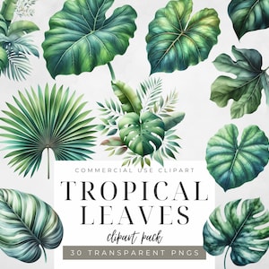 Aquarell Tropische Blätter Clipart üppiges grün gewaschenes PNG Bundle Monstera, Palme, Bananenblatt, Dschungel Boho Botanische Kunst