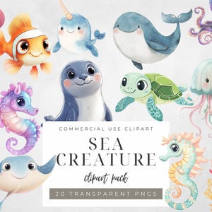 Sea Creature Clipart Cute Ocean Animal PNGWatercolor Marine Life Illustrations Digital Underwater Art Sea Animal Graphics