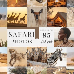 Safari Stockfoto's Esthetische dieren in het wild en landschap Afbeeldingen Afrikaanse safaridieren Schilderachtige savanne dieren in het wild Stockfoto's