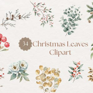 Aquarel kerstbladeren clipart bundel elegante vakantie botanische elementen vakantie blad kerst blad clipart winter blad png