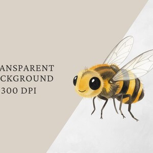 Op de afbeelding: Een aquarel illustratie van een vriendelijke bij met een geel en zwart gestreept lichaam, grote zwarte ogen en transparante vleugels. De afbeelding bevat de tekst "TRANSPARENT BACKGROUND 300 DPI".