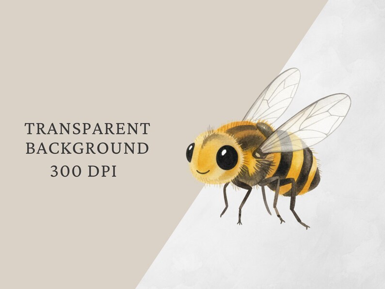 Op de afbeelding: Een aquarel illustratie van een vriendelijke bij met een geel en zwart gestreept lichaam, grote zwarte ogen en transparante vleugels. De afbeelding bevat de tekst "TRANSPARENT BACKGROUND 300 DPI".