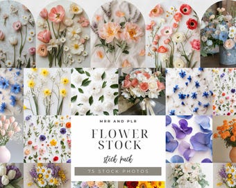 Flower Stock Photos Aesthetic Bouquet Stock Images Wildflowers Stock Photos Vibrant Wildflower Stock Aesthetic Photo Filler Aesthetic Flower