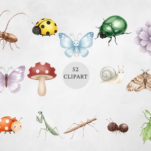 Op de afbeelding: Waterverfillustraties van verschillende insecten en een bloem. Inclusief een lieveheersbeestje, vlinder, kever, paddenstoel, slak, mot, mier en bidsprinkhaan. De tekst "52 Clipart" staat in het midden.