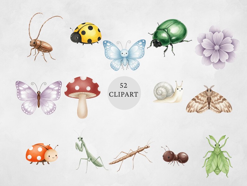 Op de afbeelding: Waterverfillustraties van verschillende insecten en een bloem. Inclusief een lieveheersbeestje, vlinder, kever, paddenstoel, slak, mot, mier en bidsprinkhaan. De tekst "52 Clipart" staat in het midden.