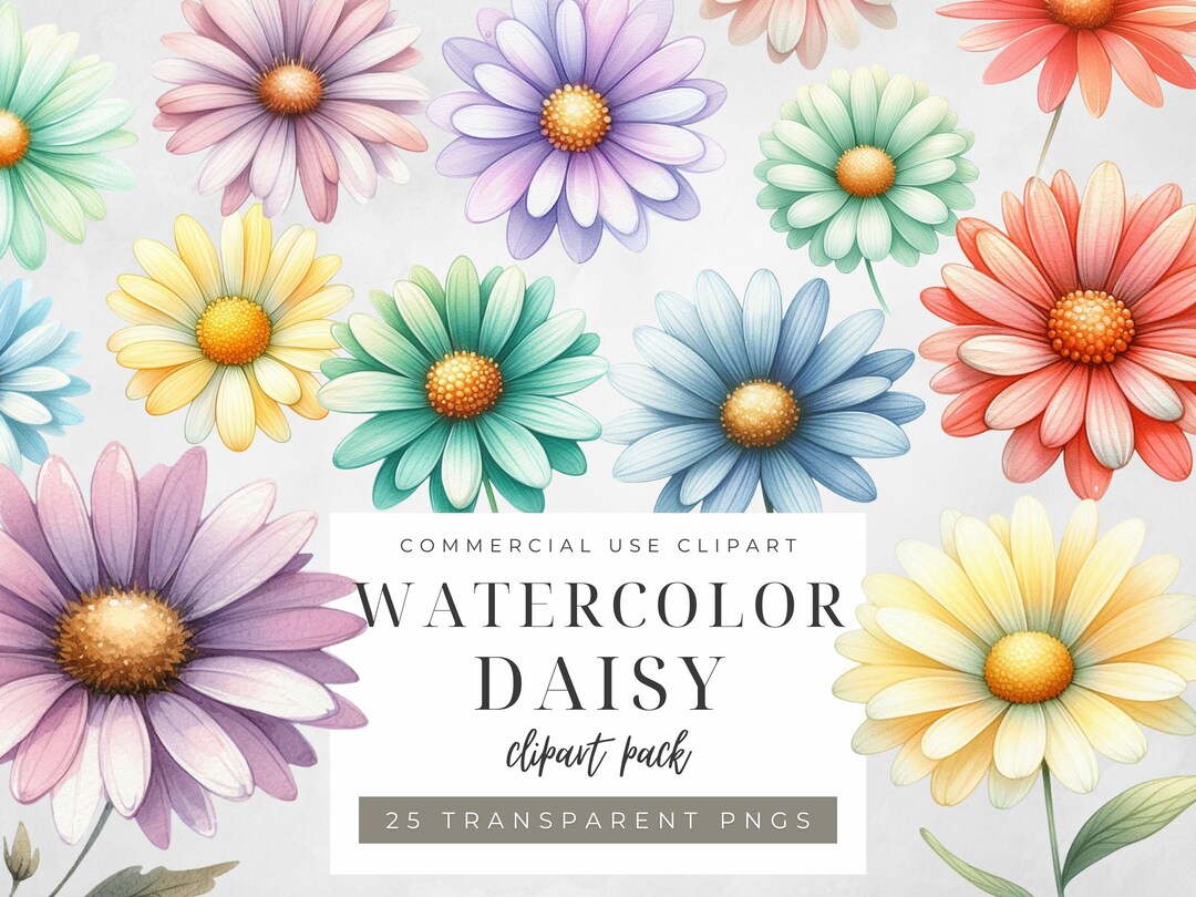 Watercolor Daisy Clipart: Pastel Flower PNG Set (digital Download) - Etsy