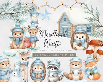 Imágenes prediseñadas de invierno en el bosque / Elementos acogedores de un bosque invernal en formato PNG / Piñas, bayas, hojas e ilustraciones navideñas de bosque