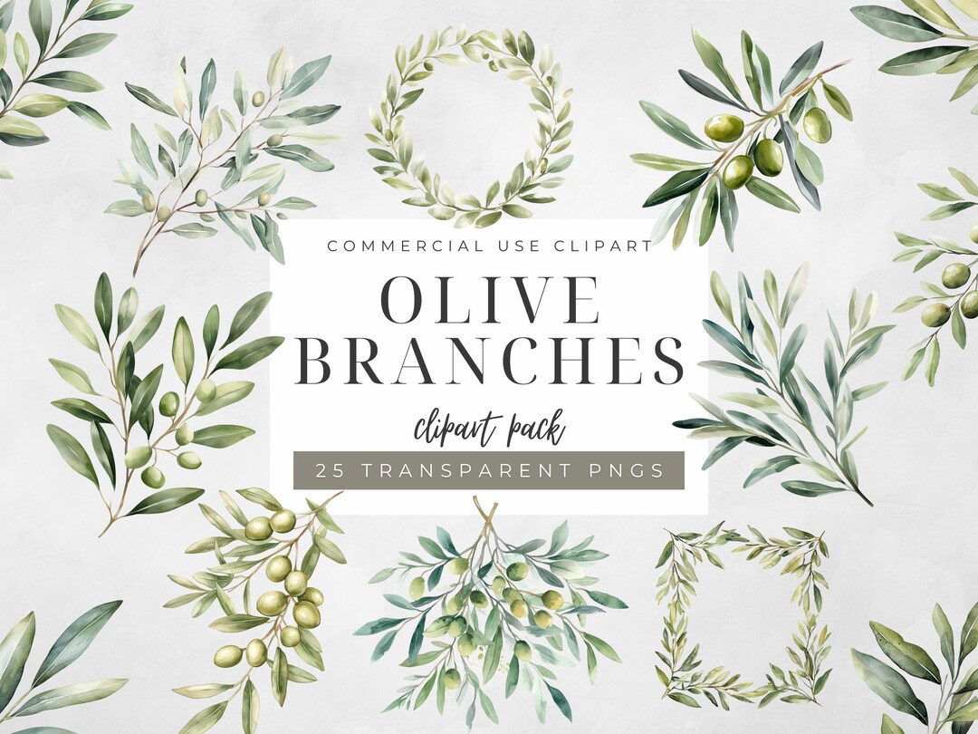 Watercolor Olive Branch Clipart Set Greenery Pngnolive Leaves and Fruit ...