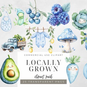 Clipart di neonati coltivati localmente, frutta e verdura blu pastello, grafica per baby shower, set di clipart per bambini a tema fattoria ad acquerello, PNG, trasparente