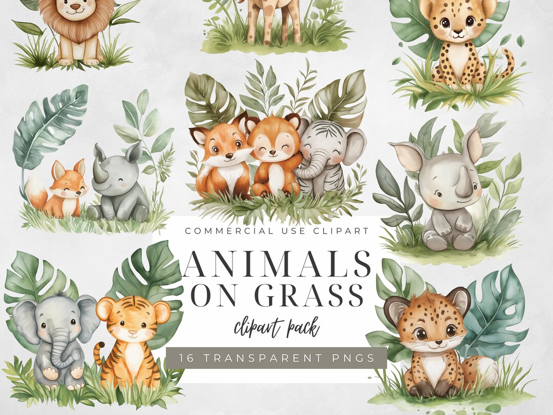 Safari Animals Clipart Set: Jungle Baby Shower Decor (digital Download ...