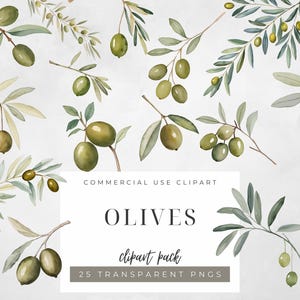 Aquarell Olive Frucht Clipart-Set gewaschen Grün Botanische Oliven Olive Illustrationen für Hochzeit und Branding Verwenden Sie Olive Aquarell Clipart