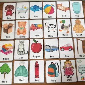 May include: A set of flashcards with illustrations of common objects and animals, each with a corresponding word. The cards depict a variety of items, including a dog, a red apple, a car, and a doll. The set is labelled "First Words Pack".