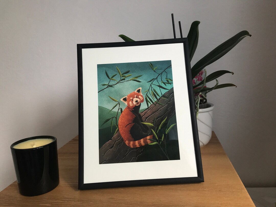 Adorable Red Panda Art Print - Wildlife Illustration - Etsy