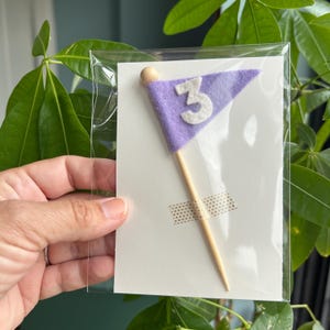 May include: A lavender felt flag with a white number 3, attached to a wooden stick. The flag is taped to a white card. The flag is packaged in a clear plastic sleeve. The background includes green leaves.