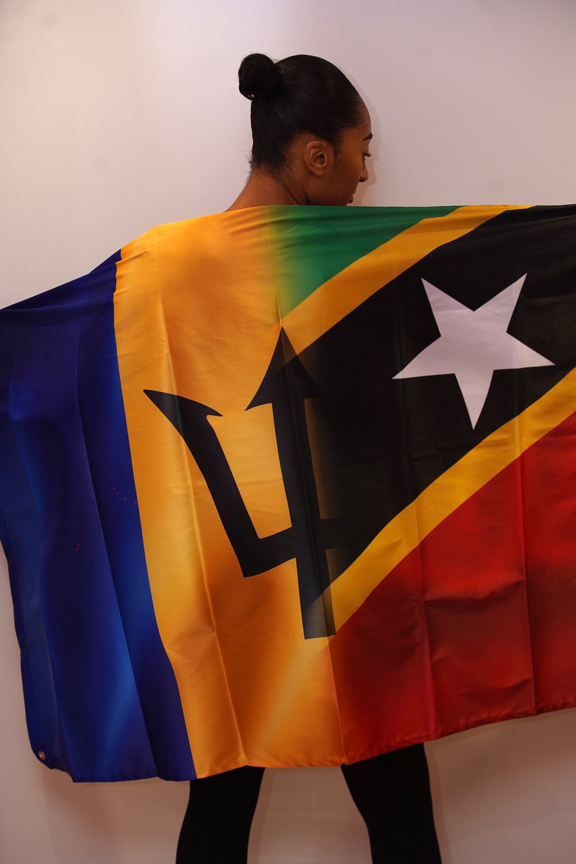 Blended Flag - Custom to Any Flags - Etsy