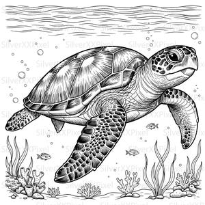 Tortuga marina SVG PNG, ilustración de tortuga oceánica para estampados costeros, decoración de playa, proyectos de vida marina y regalos para amantes del mar.