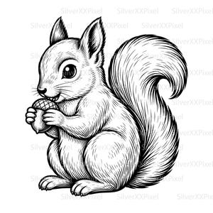 Puede incluir: Una ilustración de arte lineal en blanco y negro de una ardilla sosteniendo una bellota. La ardilla se muestra de perfil con una cola grande y tupida, orejas puntiagudas y una textura de pelaje detallada. El dibujo usa trazos limpios.