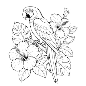 May include: A black and white line art illustration featuring a macaw perched on a branch. The bird is surrounded by large tropical hibiscus flowers, buds, and split monstera leaves, rendered with clean outlines and minimal shading details.