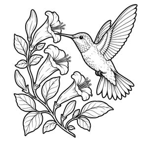 Puede incluir: Una ilustración de arte lineal en blanco y negro que muestra un colibrí en vuelo, situado a la derecha de una planta con flores. El ave tiene plumas detalladas y un pico largo, mientras que la planta exhibe tres grandes flores en forma de trompeta.