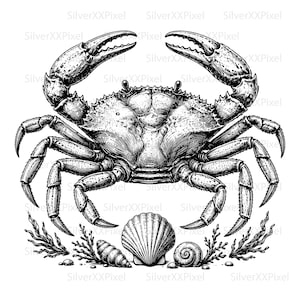 Crab SVG PNG, Coastal Sea Crab with Shells for Beach Journals, Decals, Seafood Cards and Coastal Decor