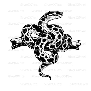 SVG PNG de cobra píton, anaconda em galho, gravação de cobra para camisetas, adesivos e Cricut.