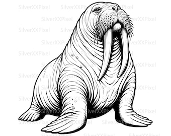 Morsa SVG PNG, imágenes prediseñadas de morsa, descarga digital de animales árticos, ilustración de mamíferos marinos, diseño de fauna costera